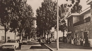 VIA DEI MONTI DI SAN PAOLO (alberature)