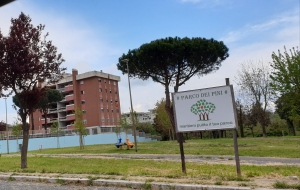 PARCO DEI PINI (Richiesta arredi e area cani)