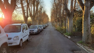 ACILIA, VIA GIOVANNI LEONARDI (pulizia strade)